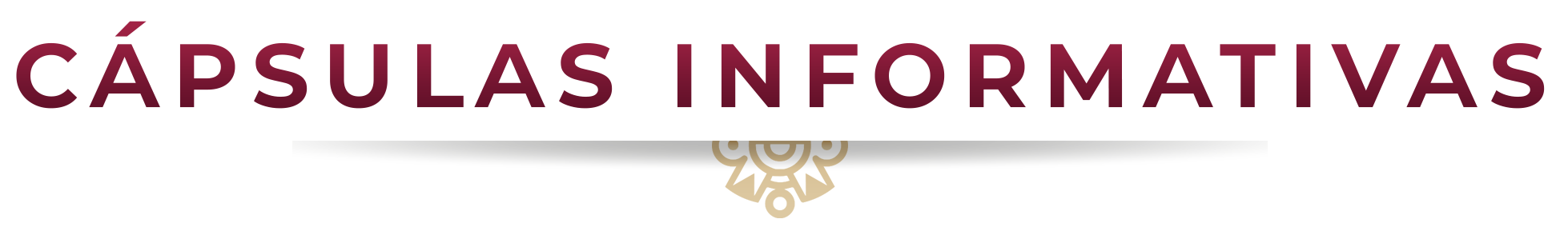 Cápsulas informativas